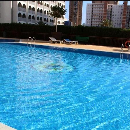 Appartamento Acuarium Lux Benidorm Esterno foto