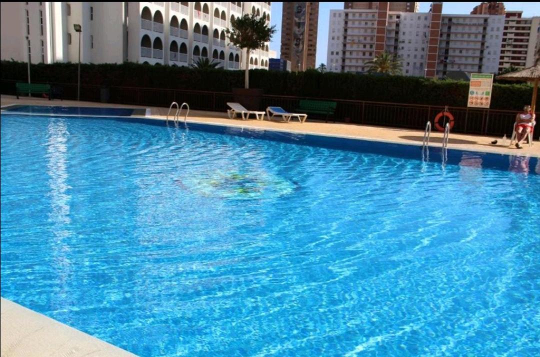 Appartamento Acuarium Lux Benidorm Esterno foto