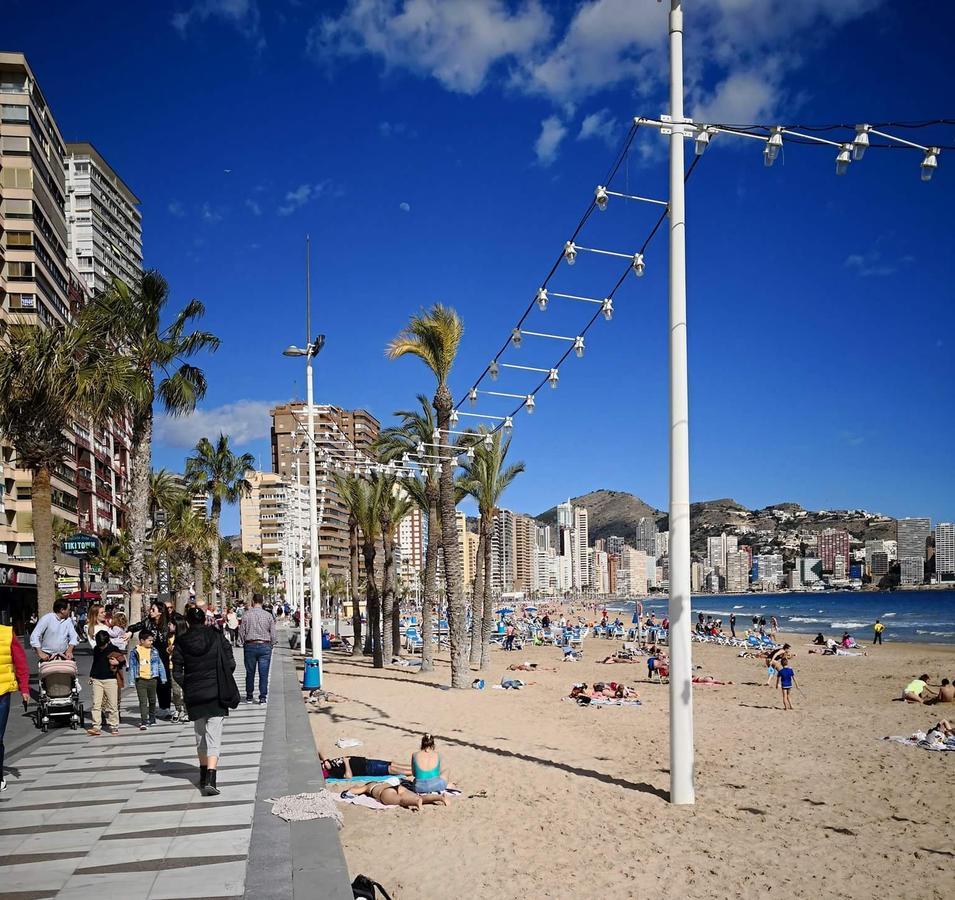 Appartamento Acuarium Lux Benidorm Esterno foto